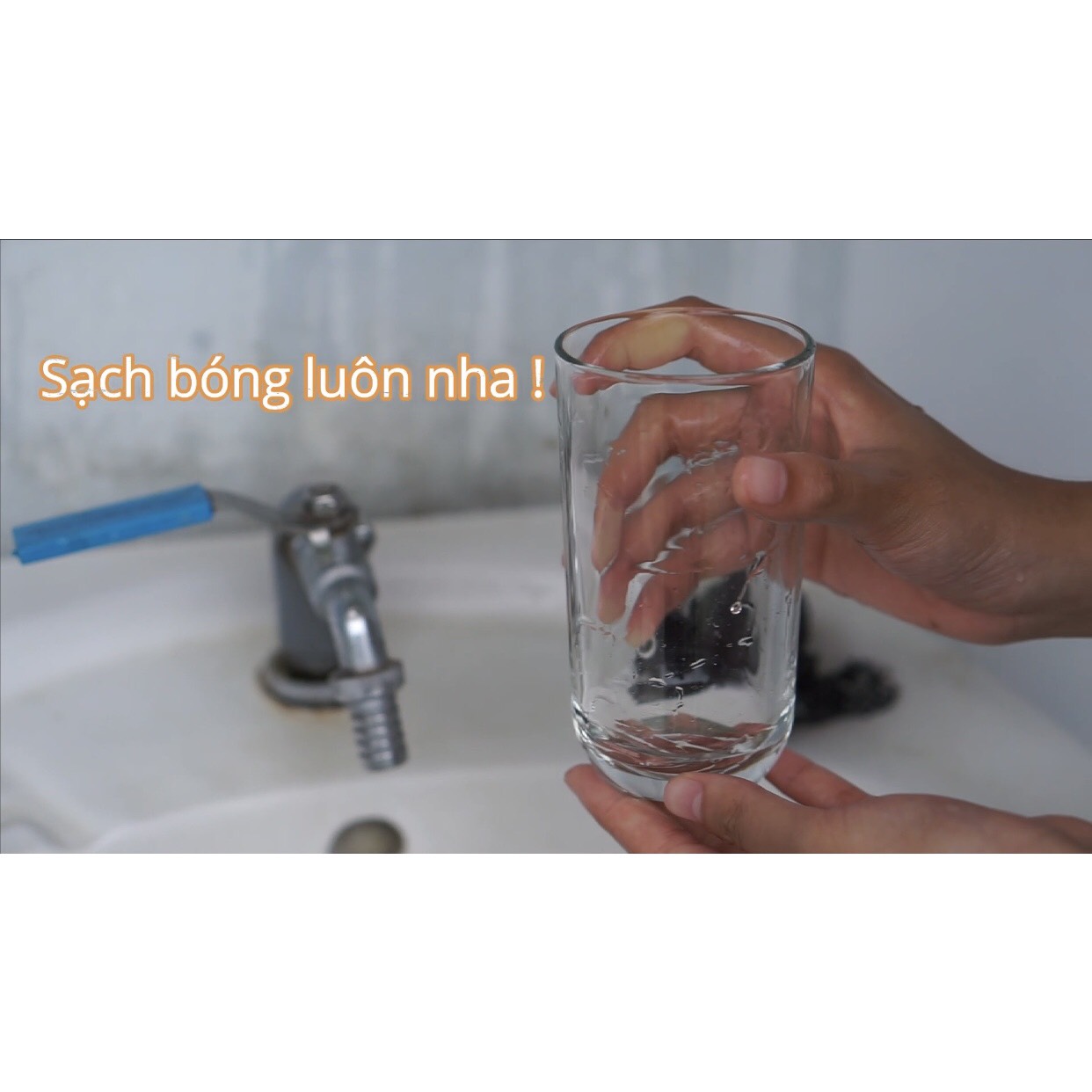 nước rửa chén bồ hòn the moshav farm
