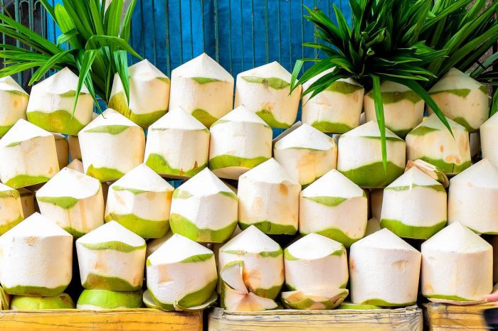Dừa của người Thái