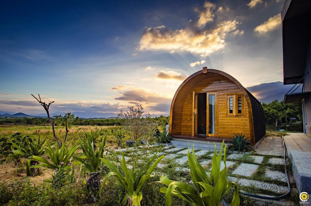 Mô hình farmstay bungalo