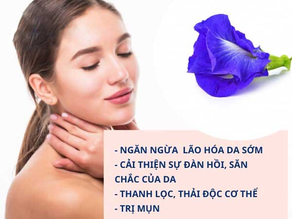 hoa đậu biếc làm đẹp da