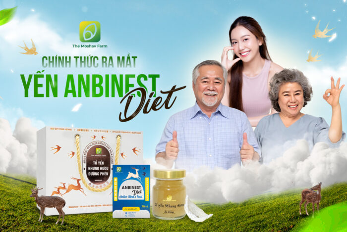 Tổ yến nhung hươu cho người tiểu đường